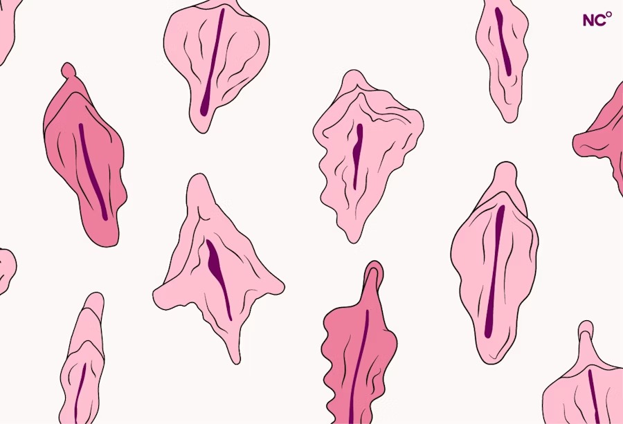 Dra Catia Pessanha - Ginecologista